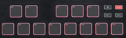 Graphite MD13 Trigger Pads